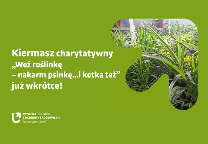 a graphic promoting the fair