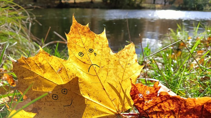 Zdjęcie liści jesiennych z grafikami przedstawiającymi emocje radości, smutku, lęku