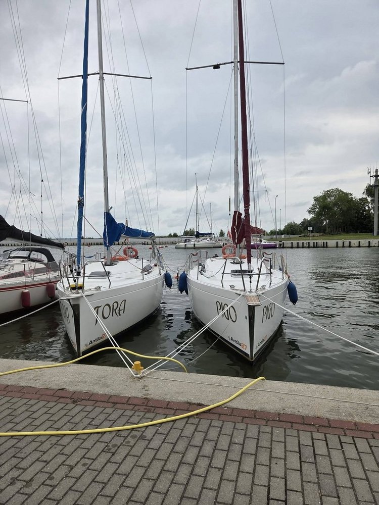 Photo of the camp yachts
