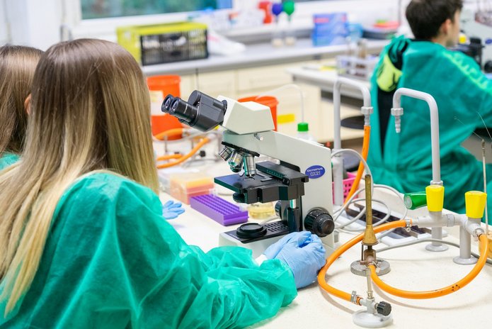 a photo from the Institute of Creative Biology 
