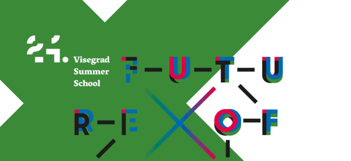 a graphic of the visegrad summer school